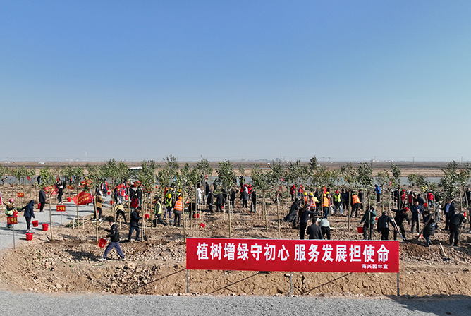 植樹增綠守初心 服務(wù)發(fā)展擔(dān)使命 | 集團(tuán)開展義務(wù)植樹活動(dòng)