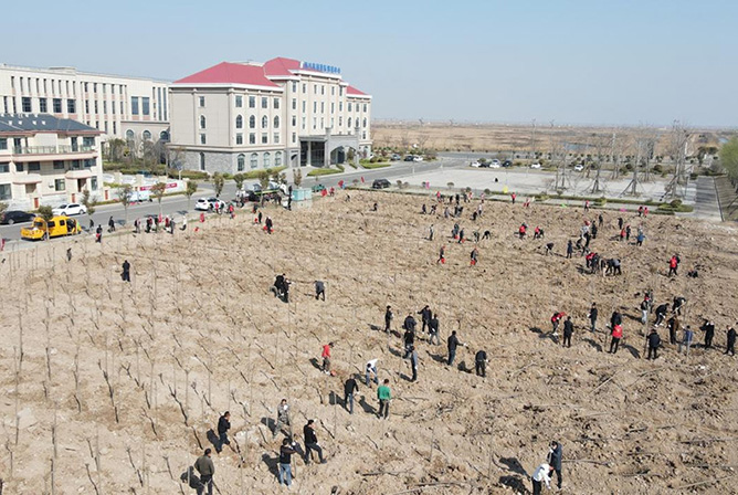 灌東投資公司、灌東鹽場(chǎng)聯(lián)合開展植樹節(jié)主題黨日活動(dòng)