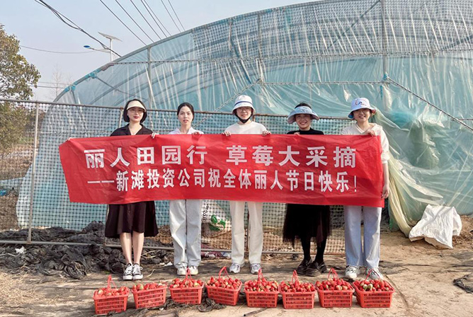 麗人田園行 草莓大采摘 | 新灘投資公司開展“三八”婦女節(jié)草莓采摘活動(dòng)